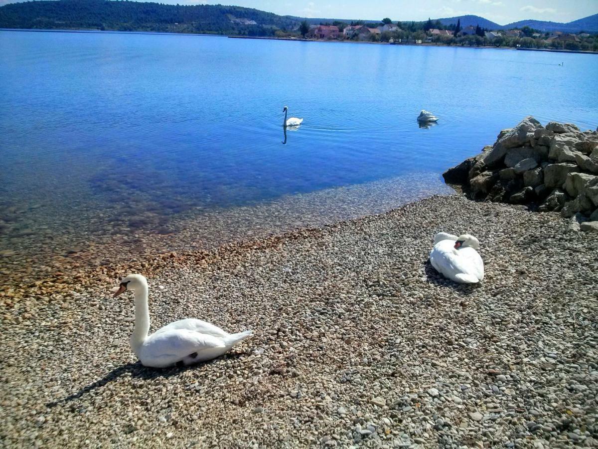 Appartamento Arija Bilice Esterno foto